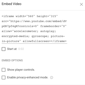 Youtube embedding options